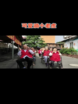 可爱滴小老虎