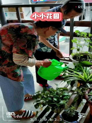 小小花园