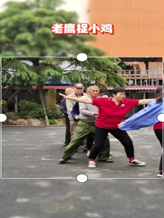 老鹰捉小鸡